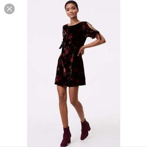 NEW Loft Velvet Dress